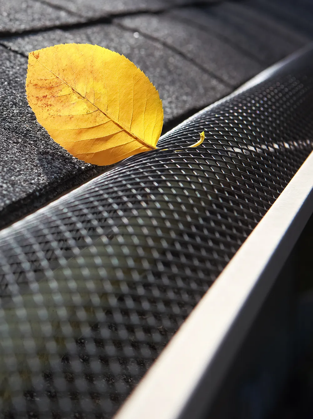 Gutter Guard Installation in Colorado